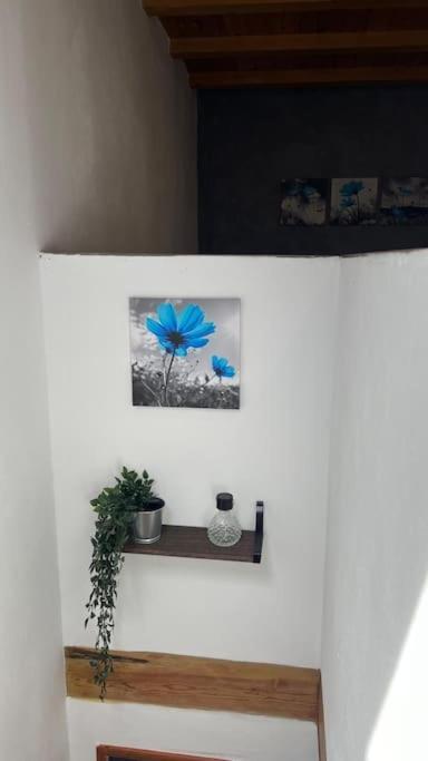 Ca La Trini Vivienda Vacacional นาวา ภายนอก รูปภาพ